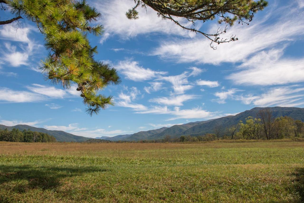 Peaceful Setting Cabin Villa Pigeon Forge Dış mekan fotoğraf